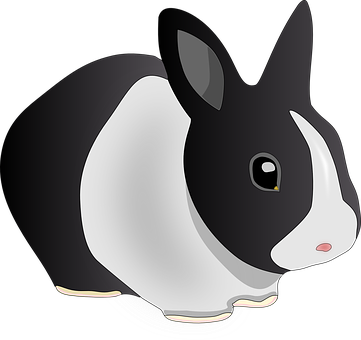 A Black And White Rabbit