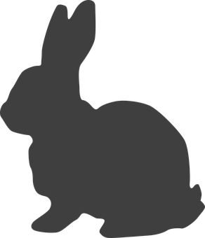 A Silhouette Of A Rabbit