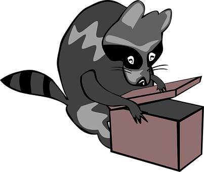 A Raccoon With A Box