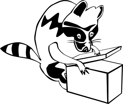 A Raccoon With A Box