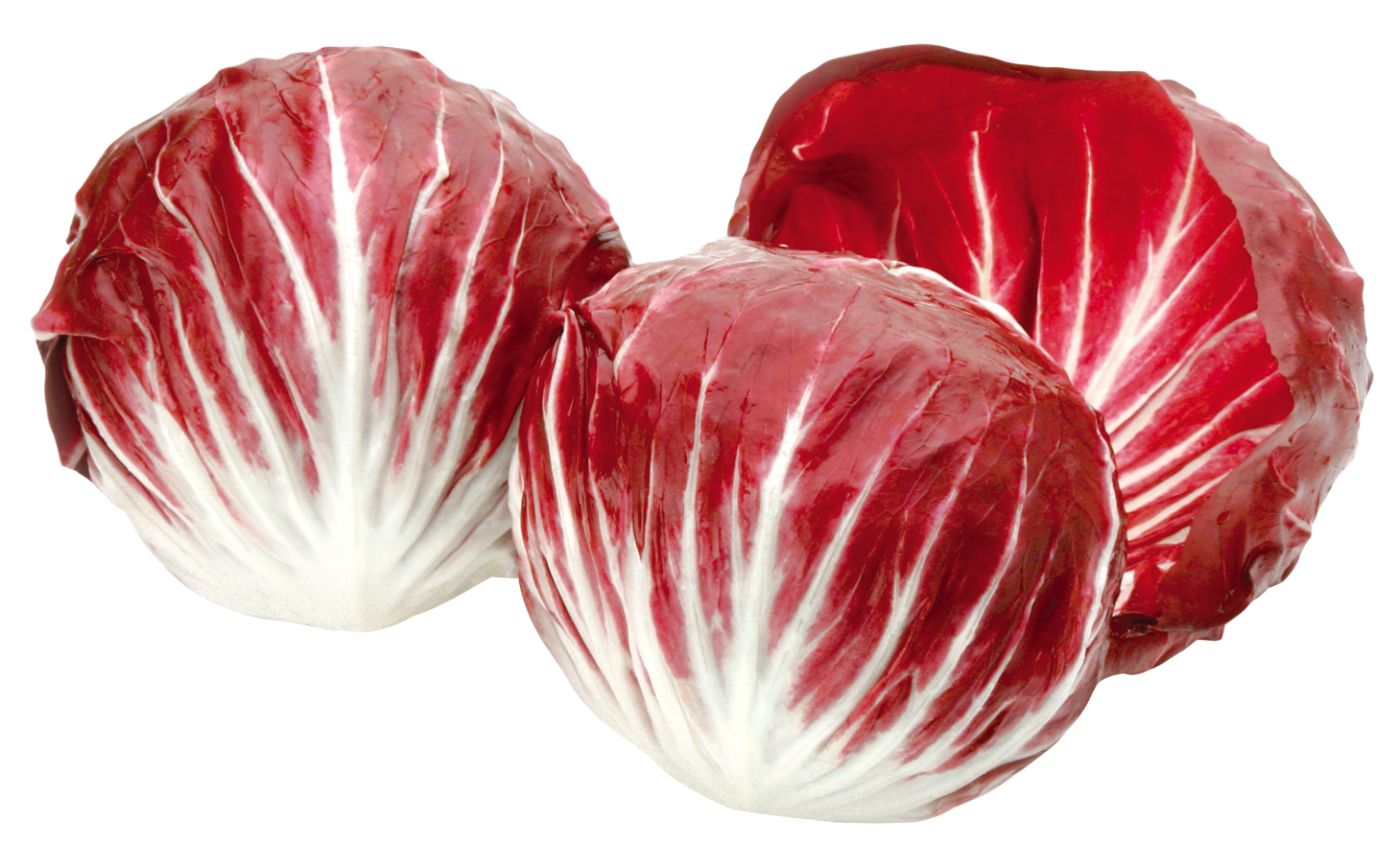 A Group Of Red And White Cabbages
