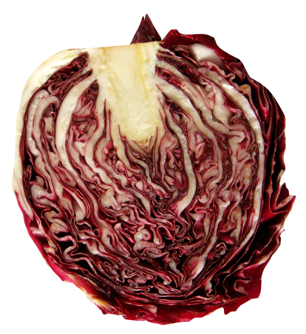 A Red Cabbage Cut In Half
