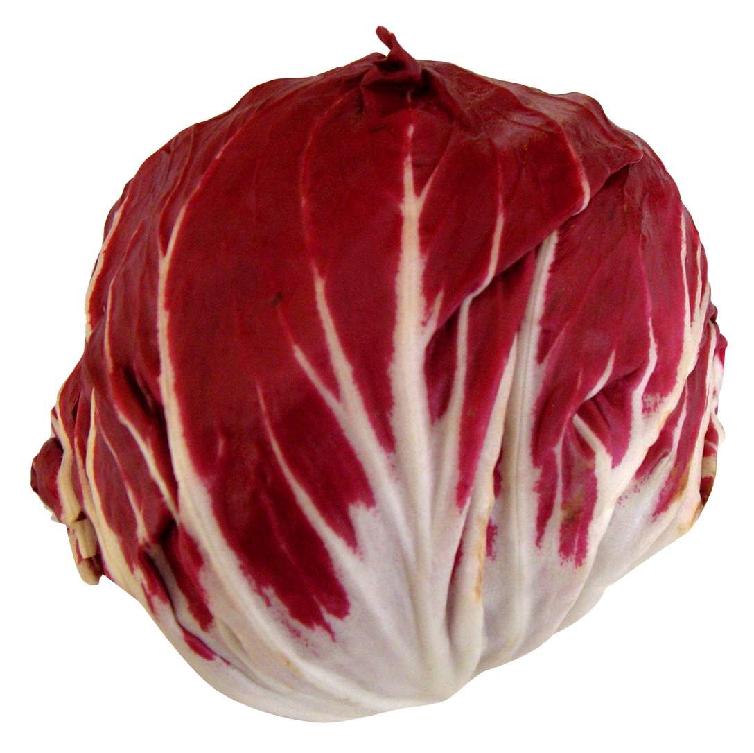 A Red And White Cabbage