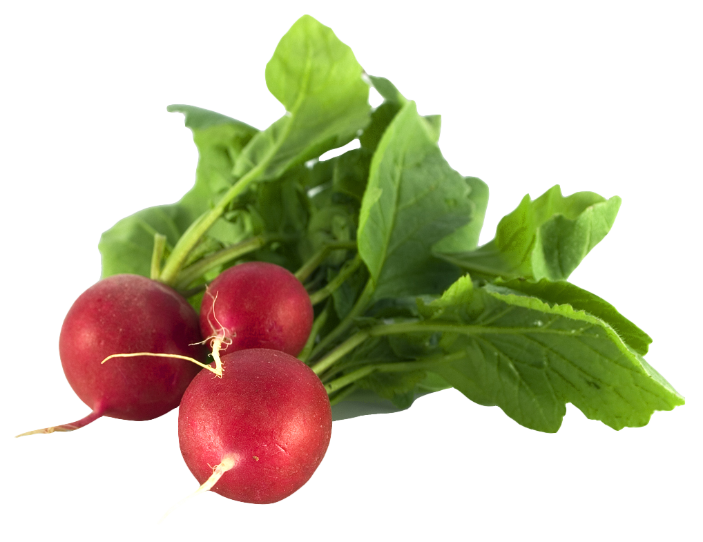 A Bunch Of Radishes With Leaves