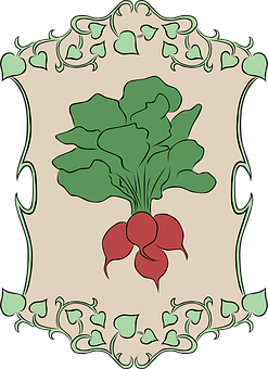 A Radish With Leaves In A Frame