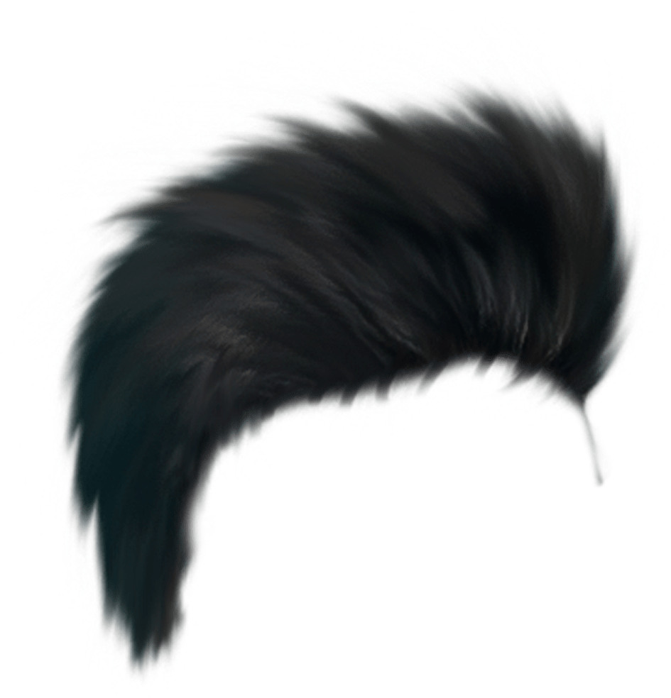 A Black Feathered Hair