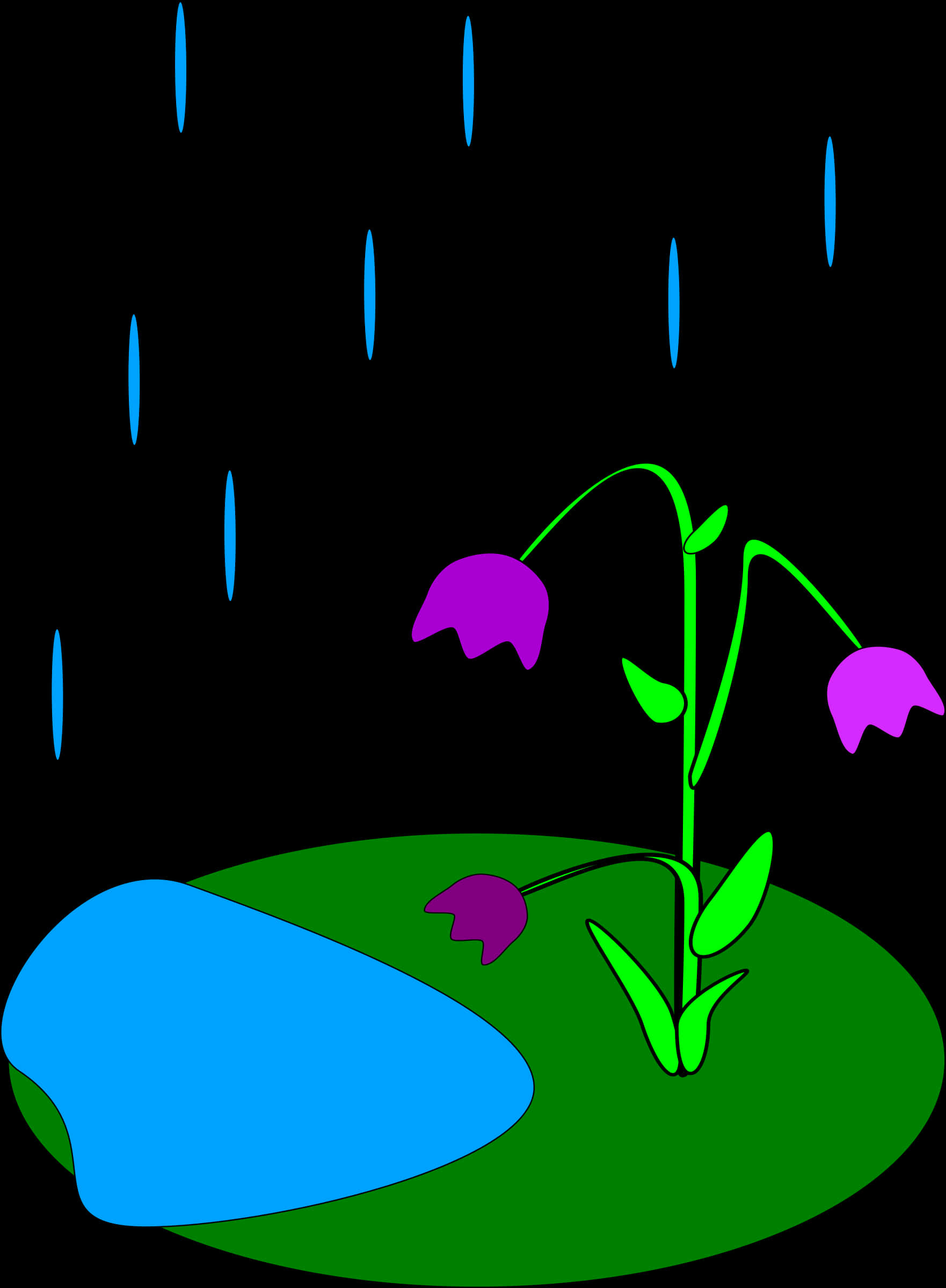 A Drawing Of A Flower And A Pond