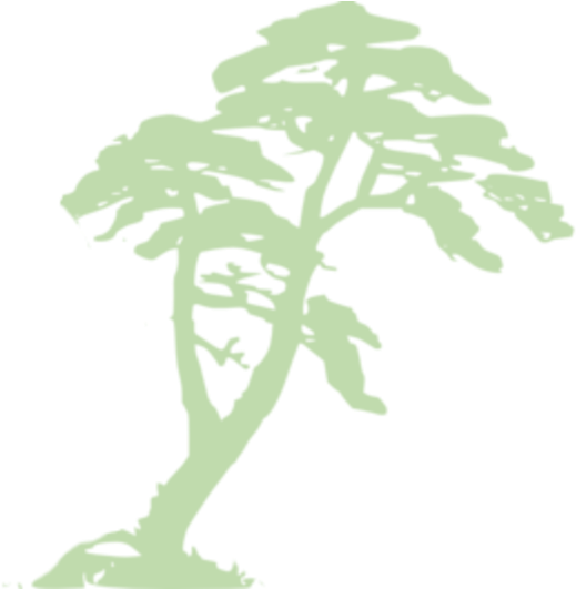 A Green Tree With Black Background