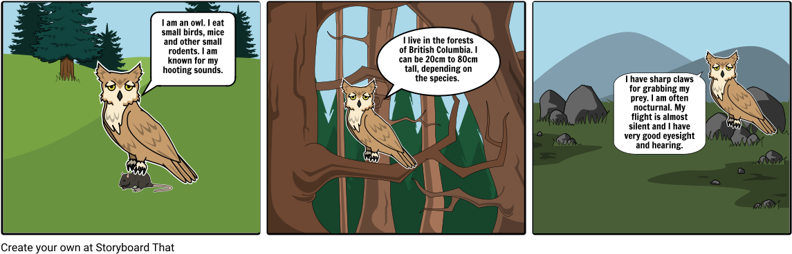 Cartoon Owl Sitting On A Tree Branch