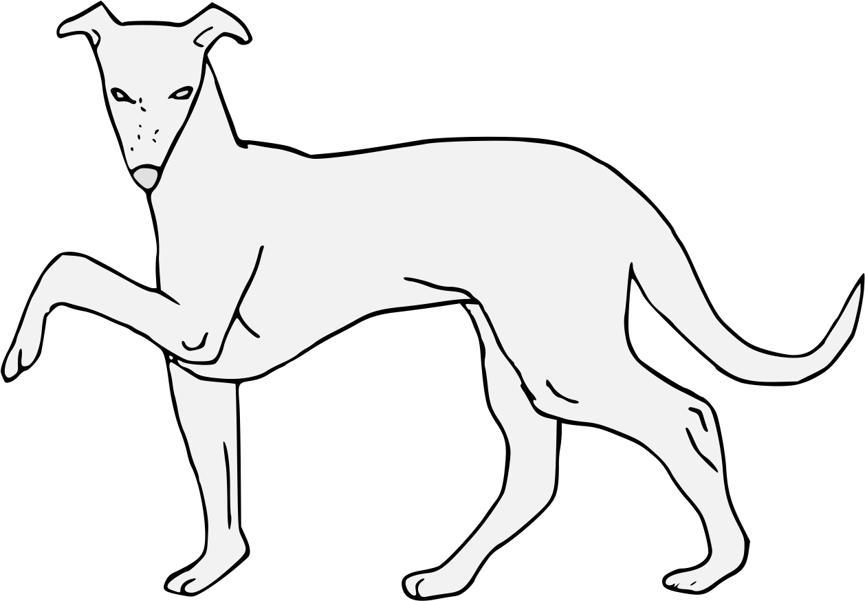 A White Dog With A Black Background