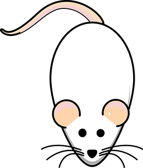 A White Mouse With A Black Background