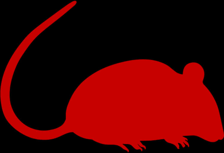 A Red Mouse With Long Tail