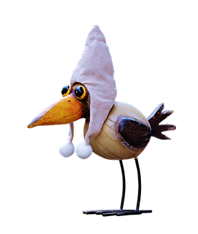 A Bird With A Hat