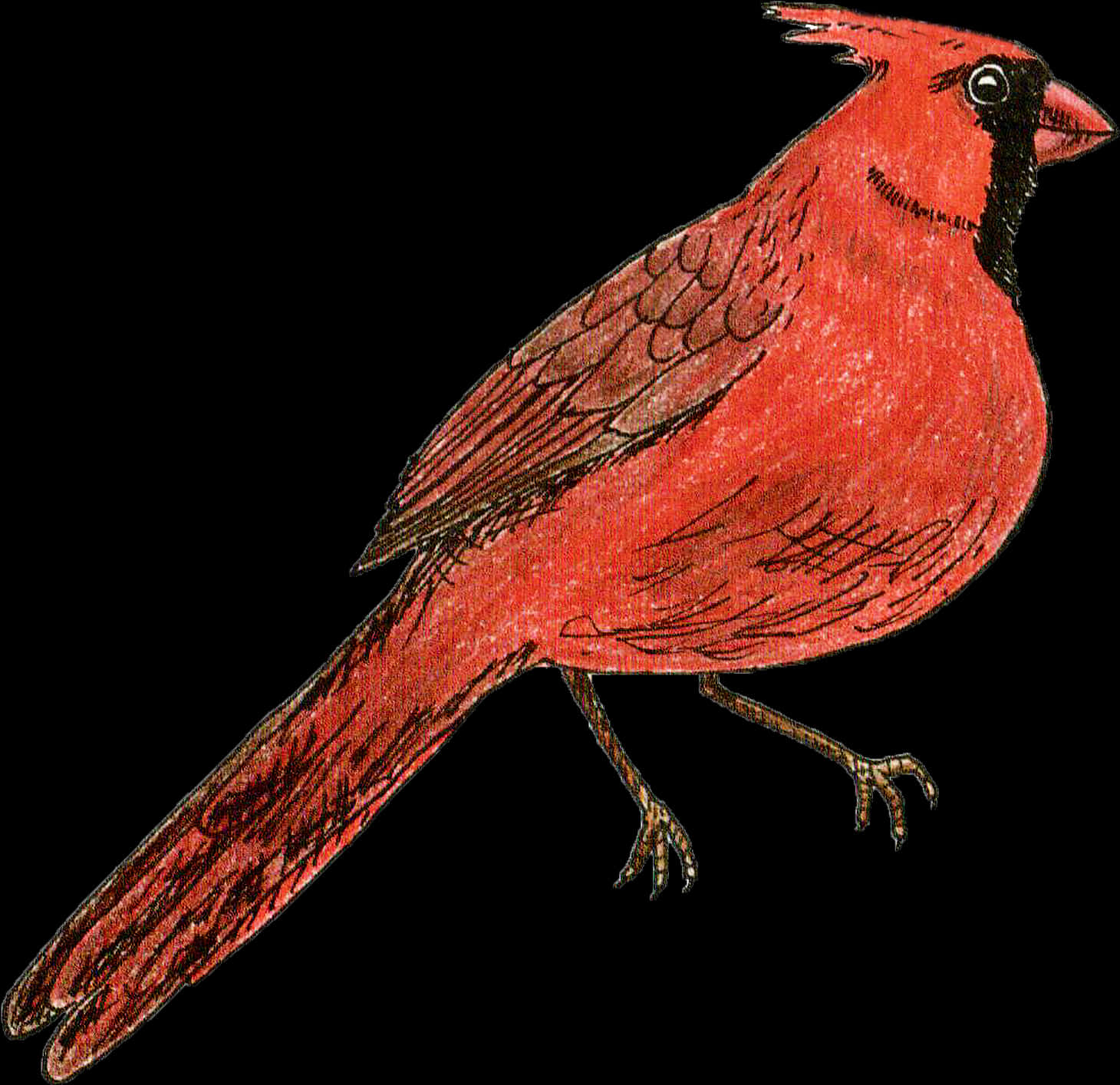 Red Birds Art