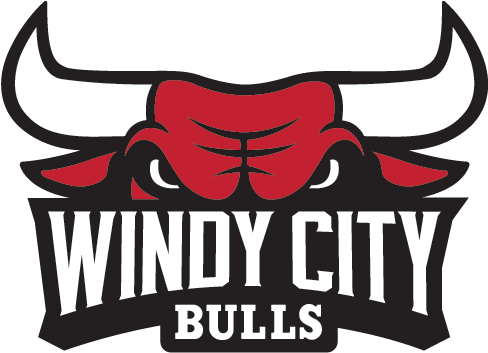 A Logo Of A Bulls Team