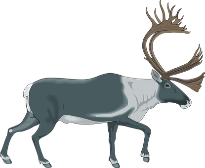 A Cartoon Of A Reindeer