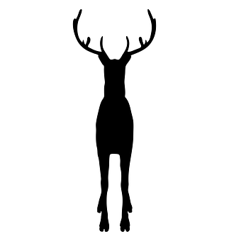 A Silhouette Of A Deer
