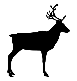 Reindeer Png 323 X 340