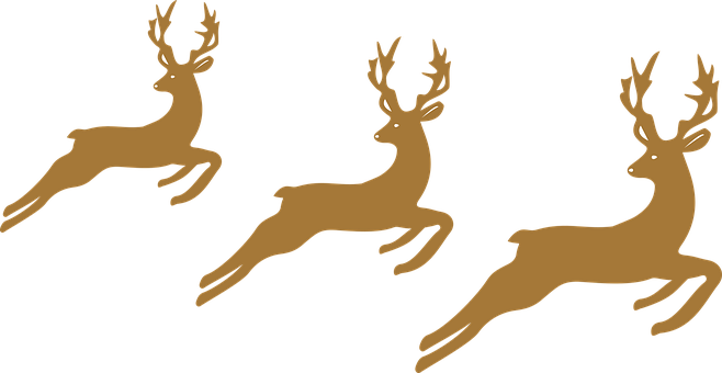 Reindeer Png 658 X 340