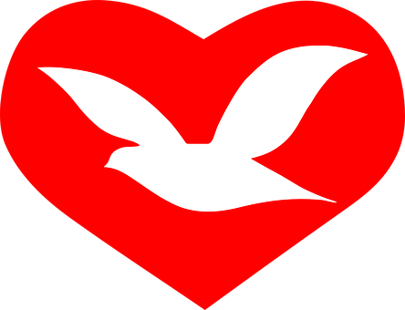 A White Bird In A Red Heart