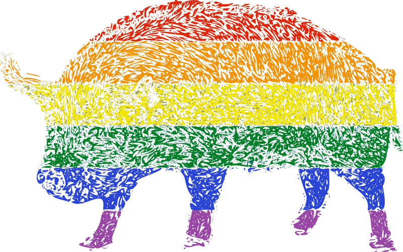 A Rainbow Pig With Black Background