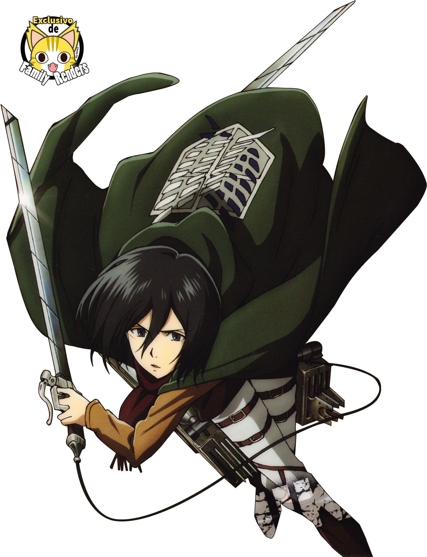 Mikasa Ackerman Holding Two Swords