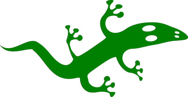 A Green Lizard On A Black Background
