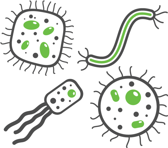 A Group Of Bacteria And Germs