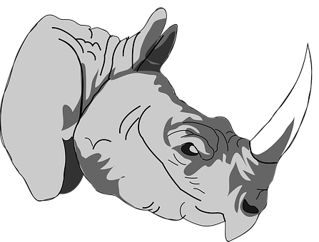 A Rhinoceros Lying Down