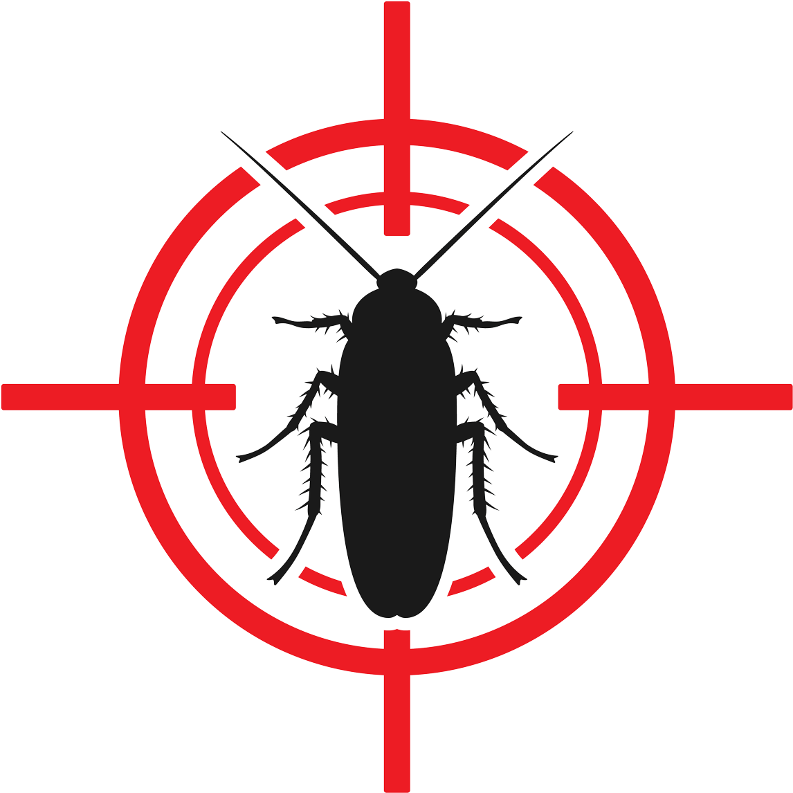 A Black Bug On A Red Target