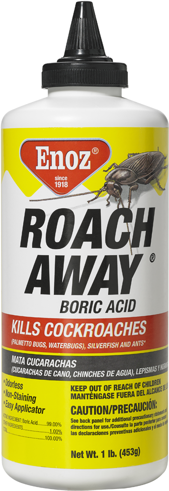 Roach Png 336 X 972