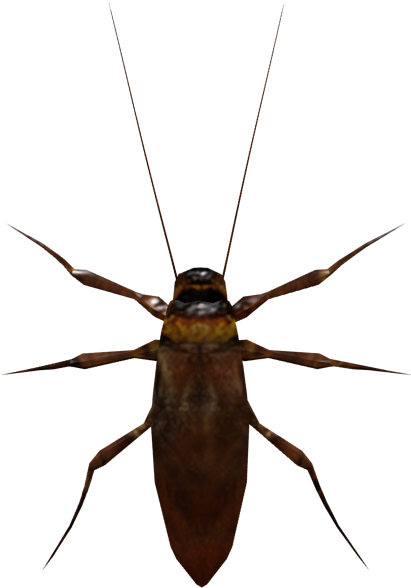 A Close Up Of A Bug