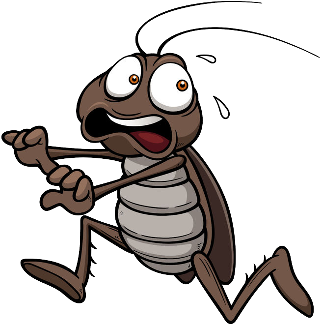 A Cartoon Of A Bug