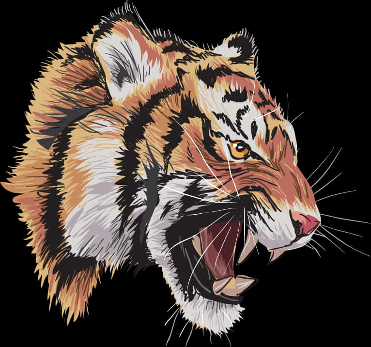 Roaring Tiger Drawing Side View