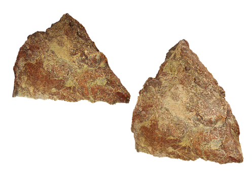 A Pair Of Brown Rocks