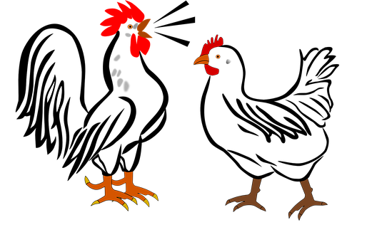 A Group Of Roosters And Chickens