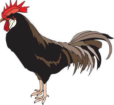 A Rooster With A Red Crest
