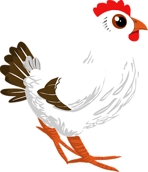 A White Chicken With Red Head