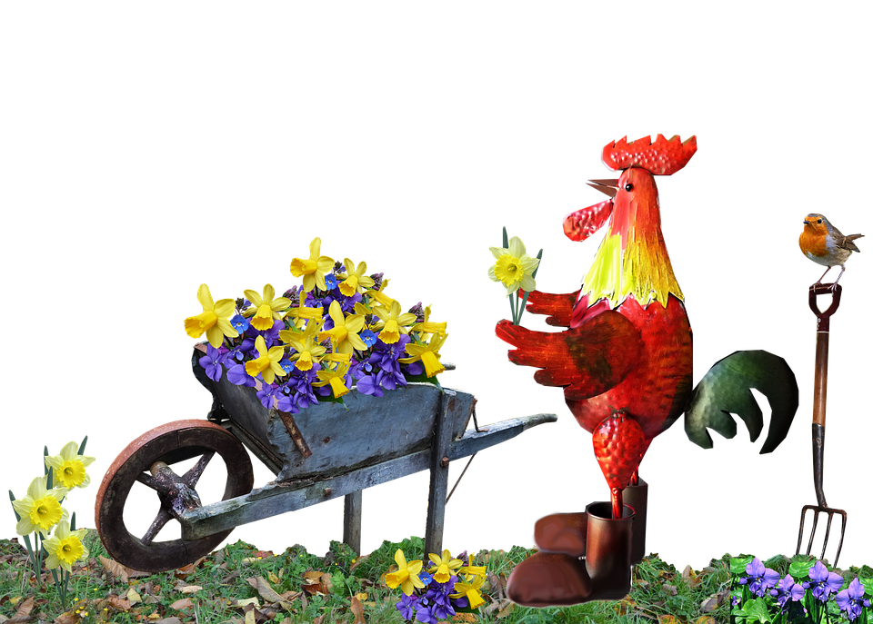 Rooster Png 960 X 687