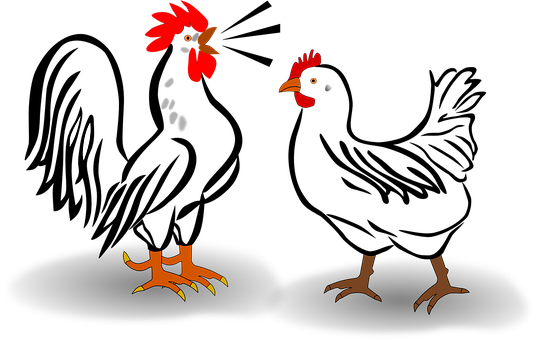 A Rooster And Chicken Standing On A Black Surface