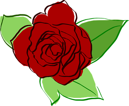 Rose Png 415 X 340