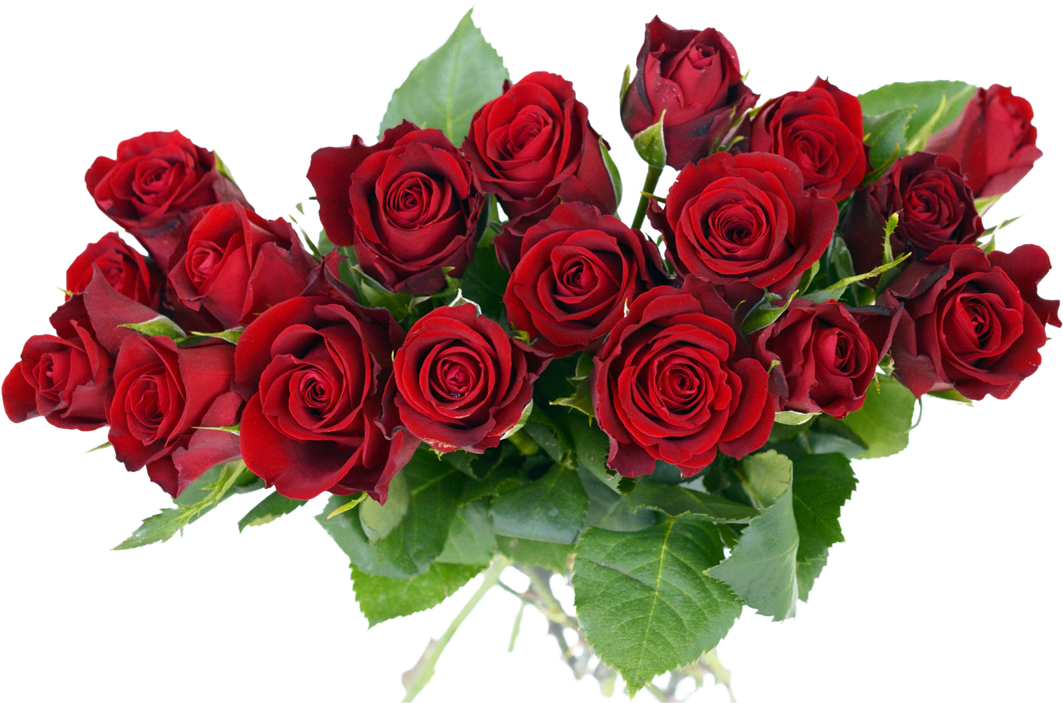 A Bouquet Of Red Roses