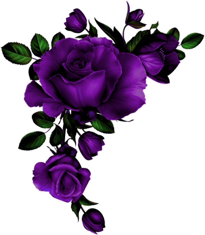 A Purple Flowers On A Black Background