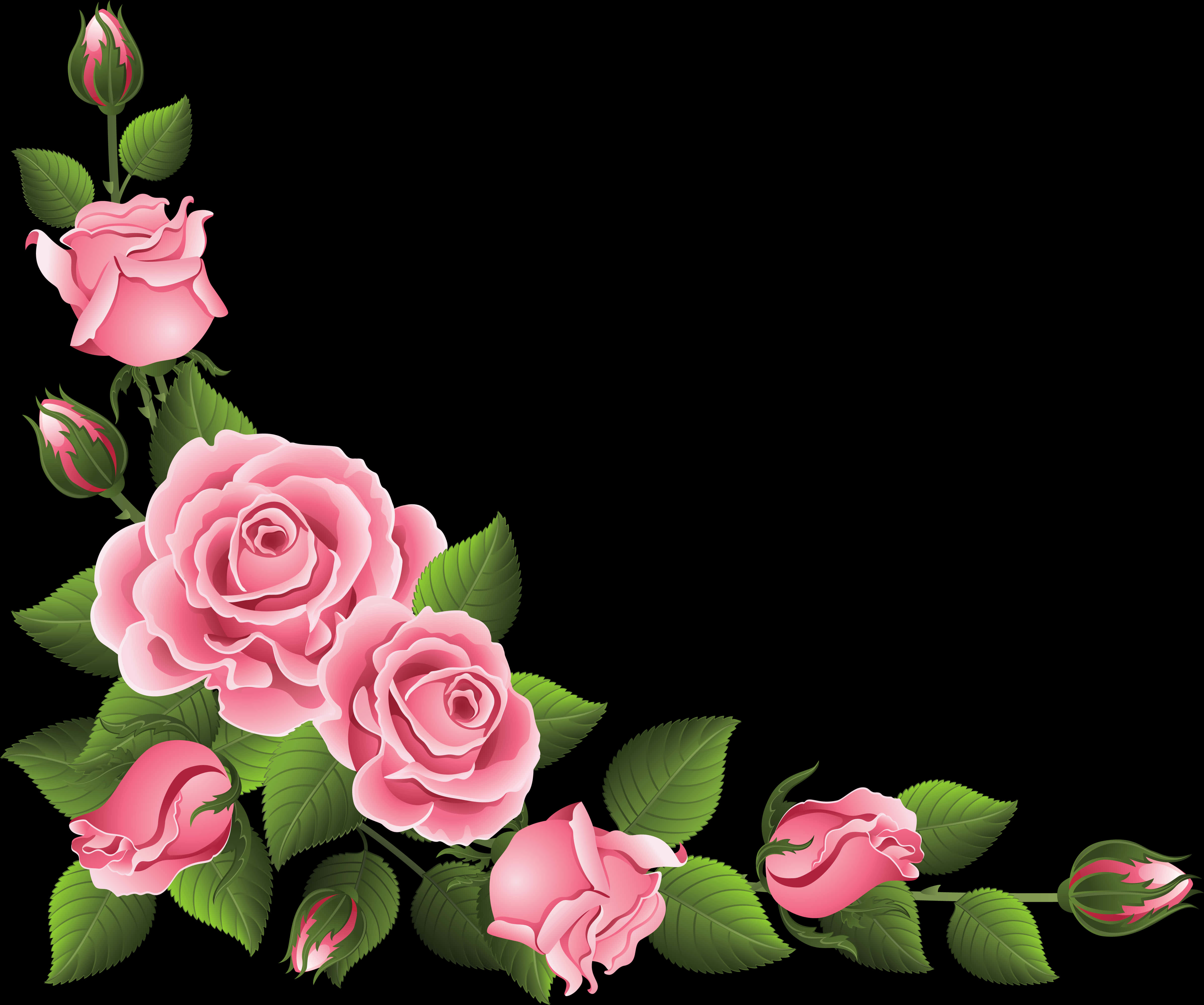 A Pink Roses And Green Leaves