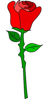 Rose Png 170 X 340