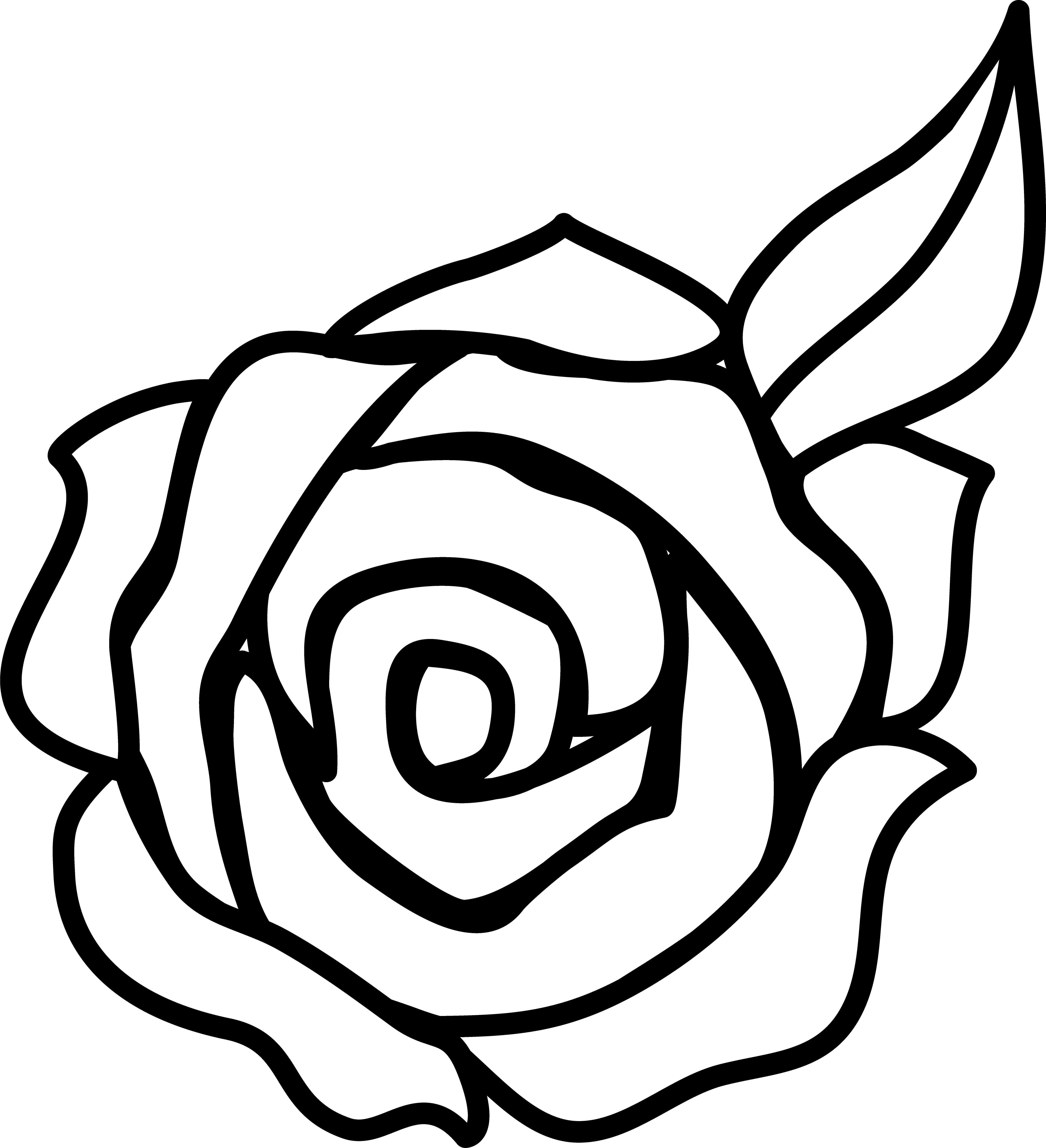 A White Rose With Leaves