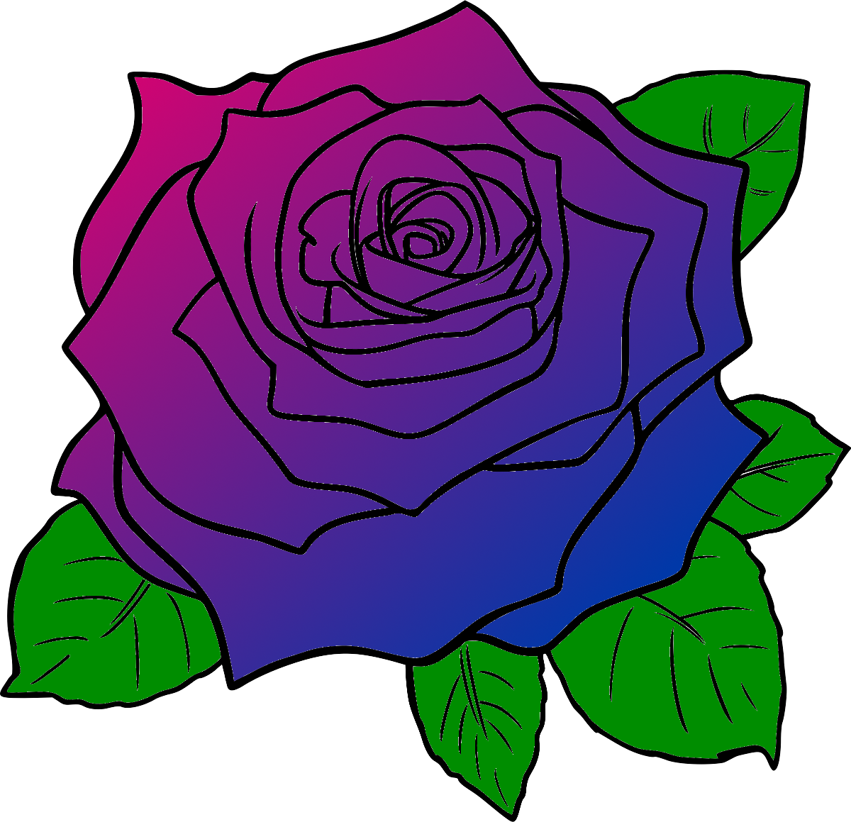 A Colorful Rose With Green Leaves