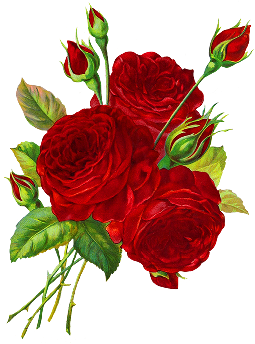 A Group Of Red Roses And Buds