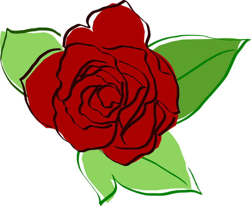 Rose Drawing Png