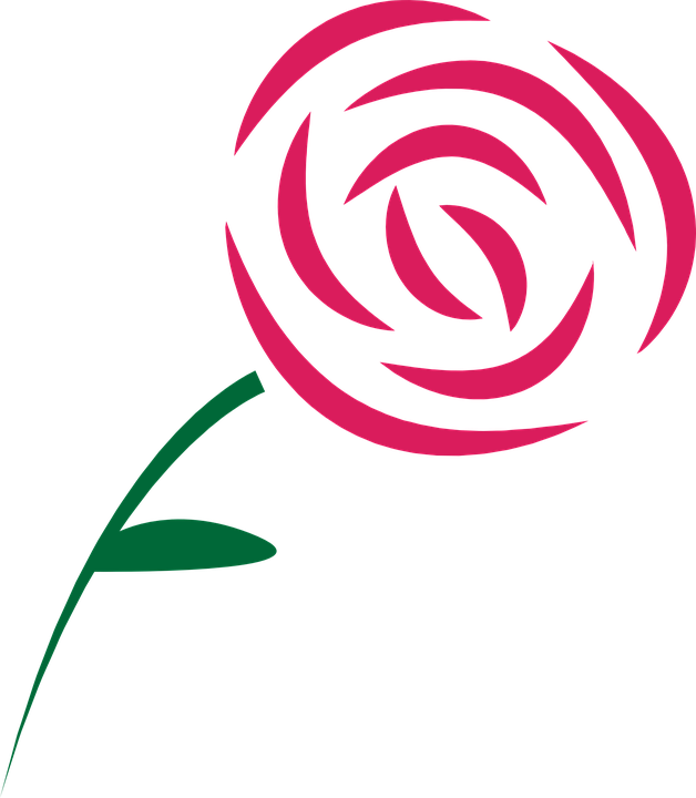 A Pink Rose With Green Stem And Leaves